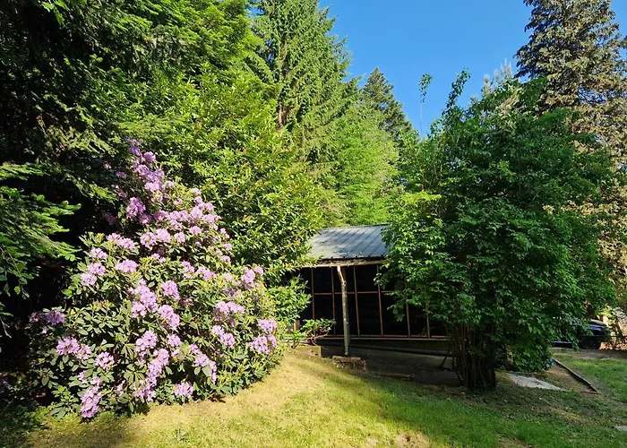 Chalet De La Foret 1 A 6 Pers