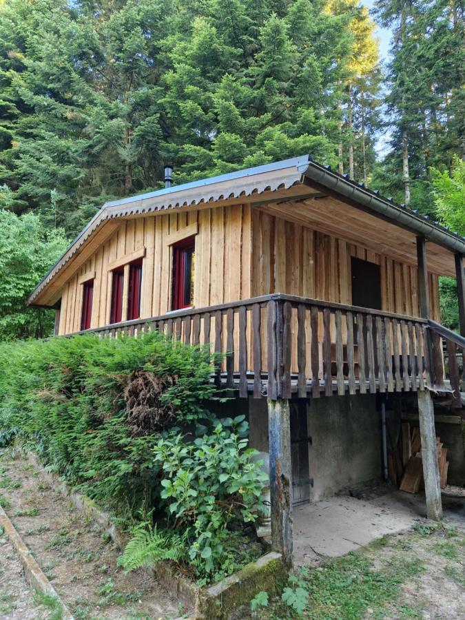 Chalet De La Foret 1 A 6 Pers Saint-Sauveur (Meurthe-et-Moselle)