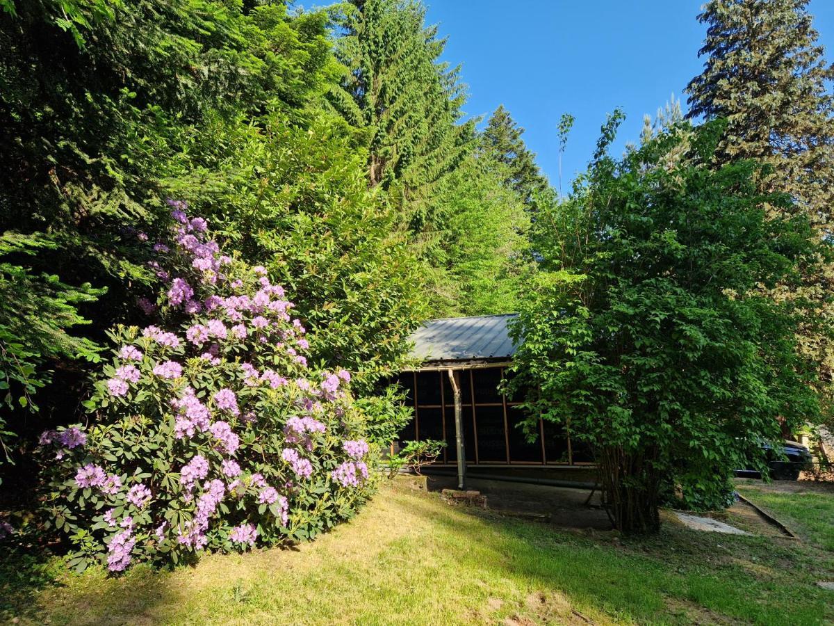 De La Foret 1 A 6 Pers Chalet *
